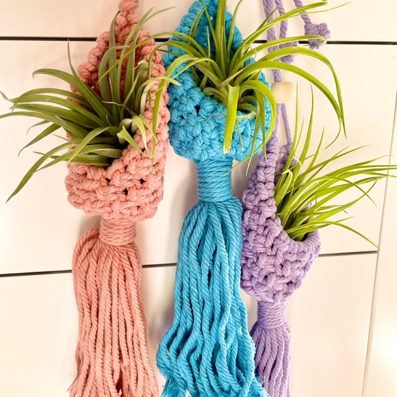 🔆AIR PLANT BUDDIES🔆 LIVE PLANTS SHIPPED WITH CARE - Picture 5 of 10